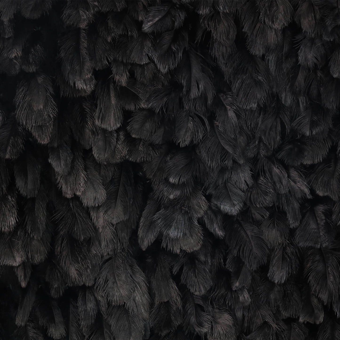 Black Feather Flower Wall for Wedding Arrangement Bridal Shower Party Backdrop-ubackdrop