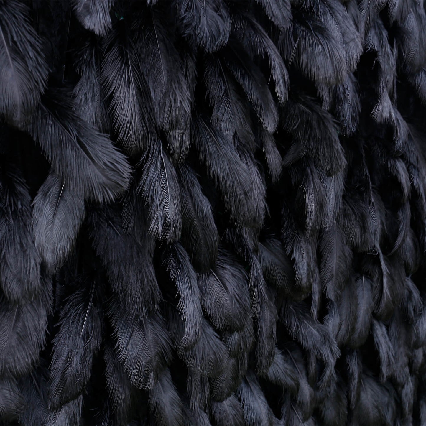 Black Feather Flower Wall for Wedding Arrangement Bridal Shower Party Backdrop-ubackdrop