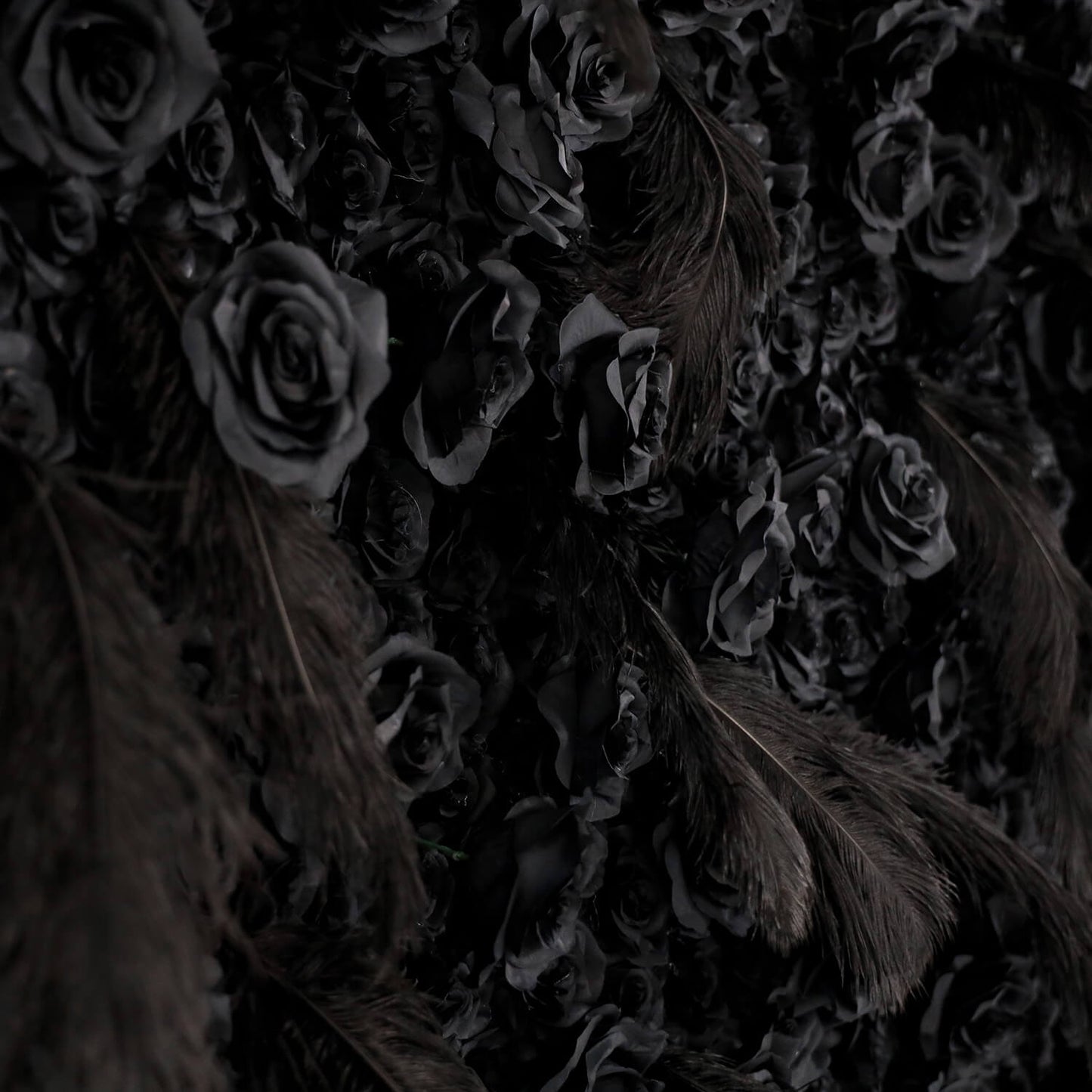 Black Rose Feather Flower Wall Backdrop for Birthday Party Decorations-ubackdrop