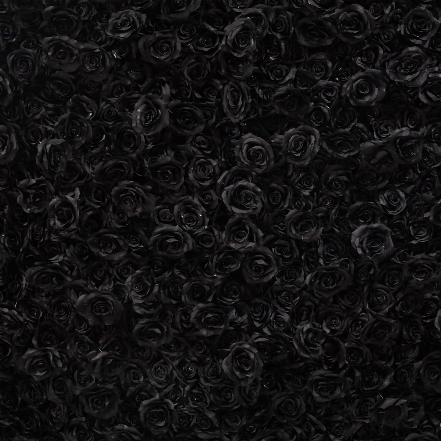 Black Rose Flower Wall Backdrop for Birthday Party Decorations
