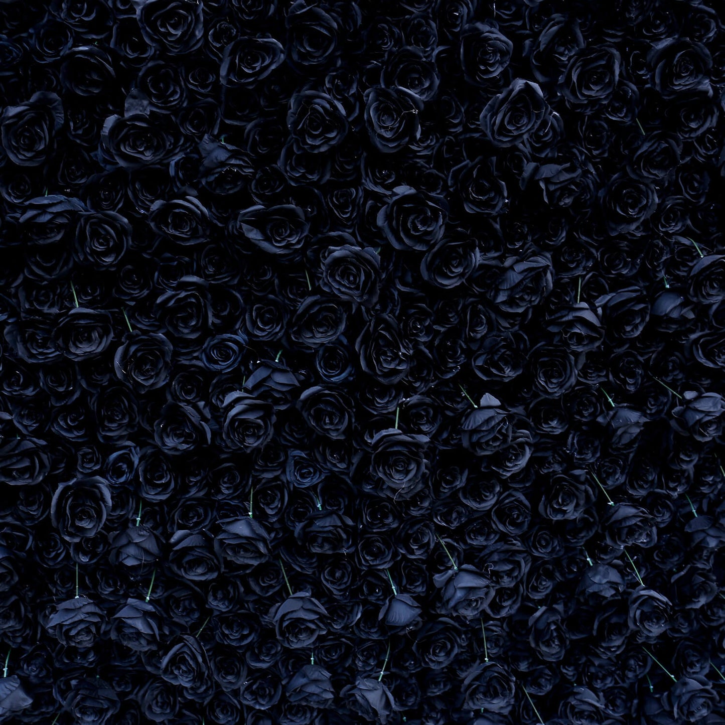 Black Rose Flower Wall Backdrop for Birthday Party Decorations-ubackdrop