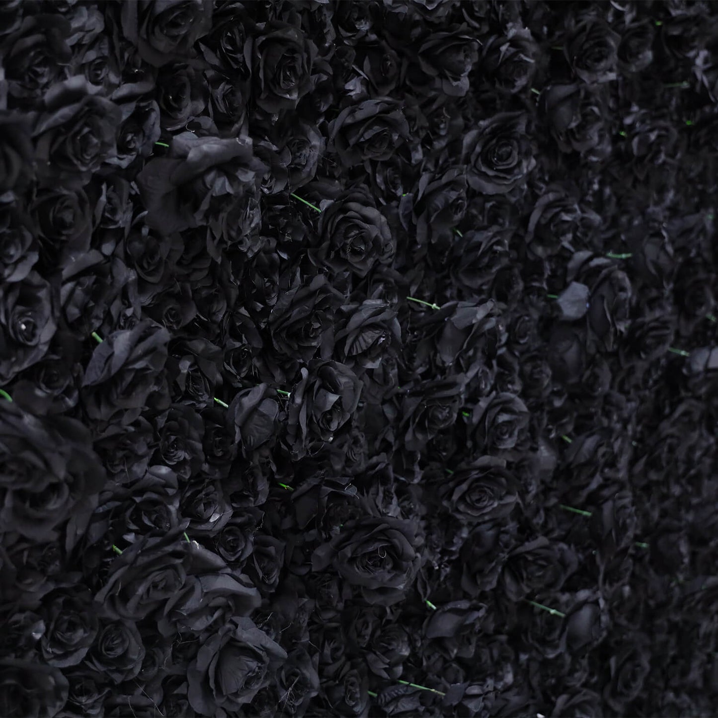Black Rose Flower Wall Backdrop for Birthday Party Decorations