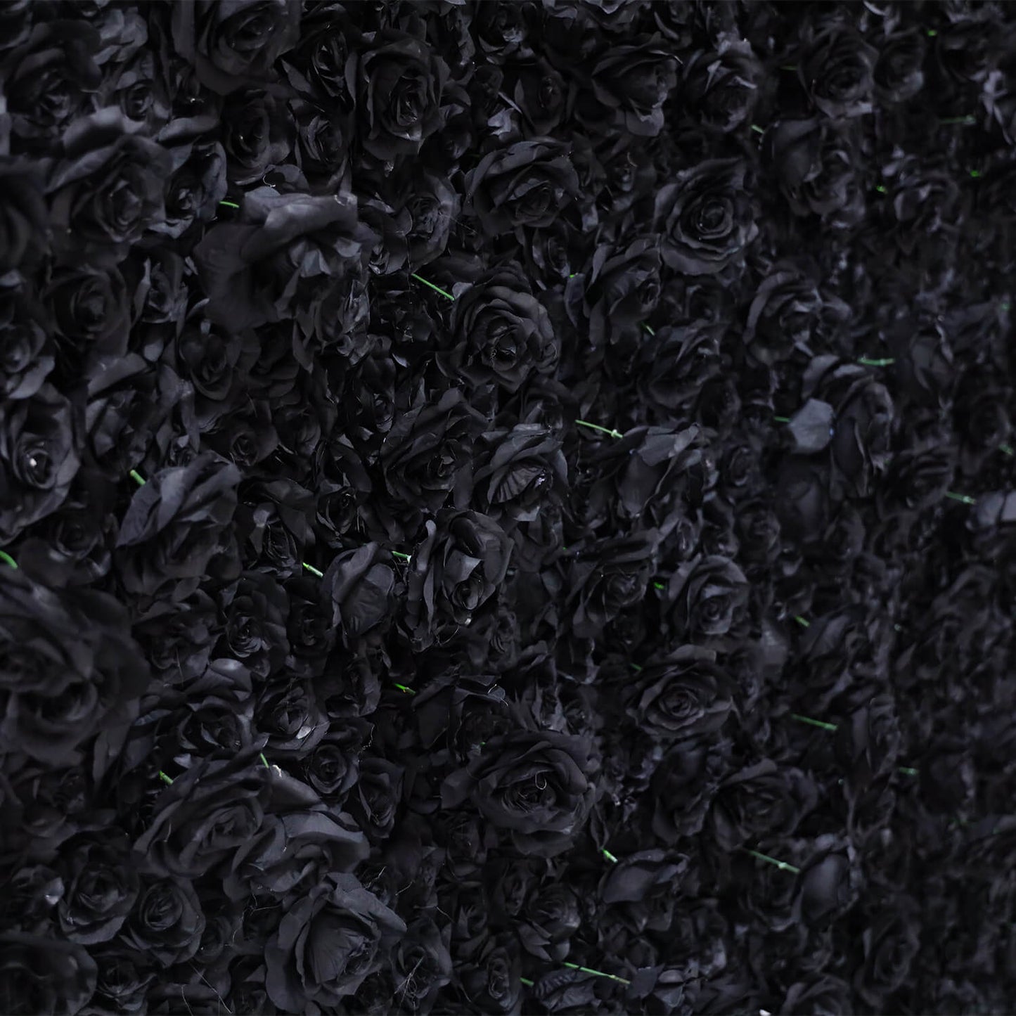 Black Rose Flower Wall Backdrop for Birthday Party Decorations