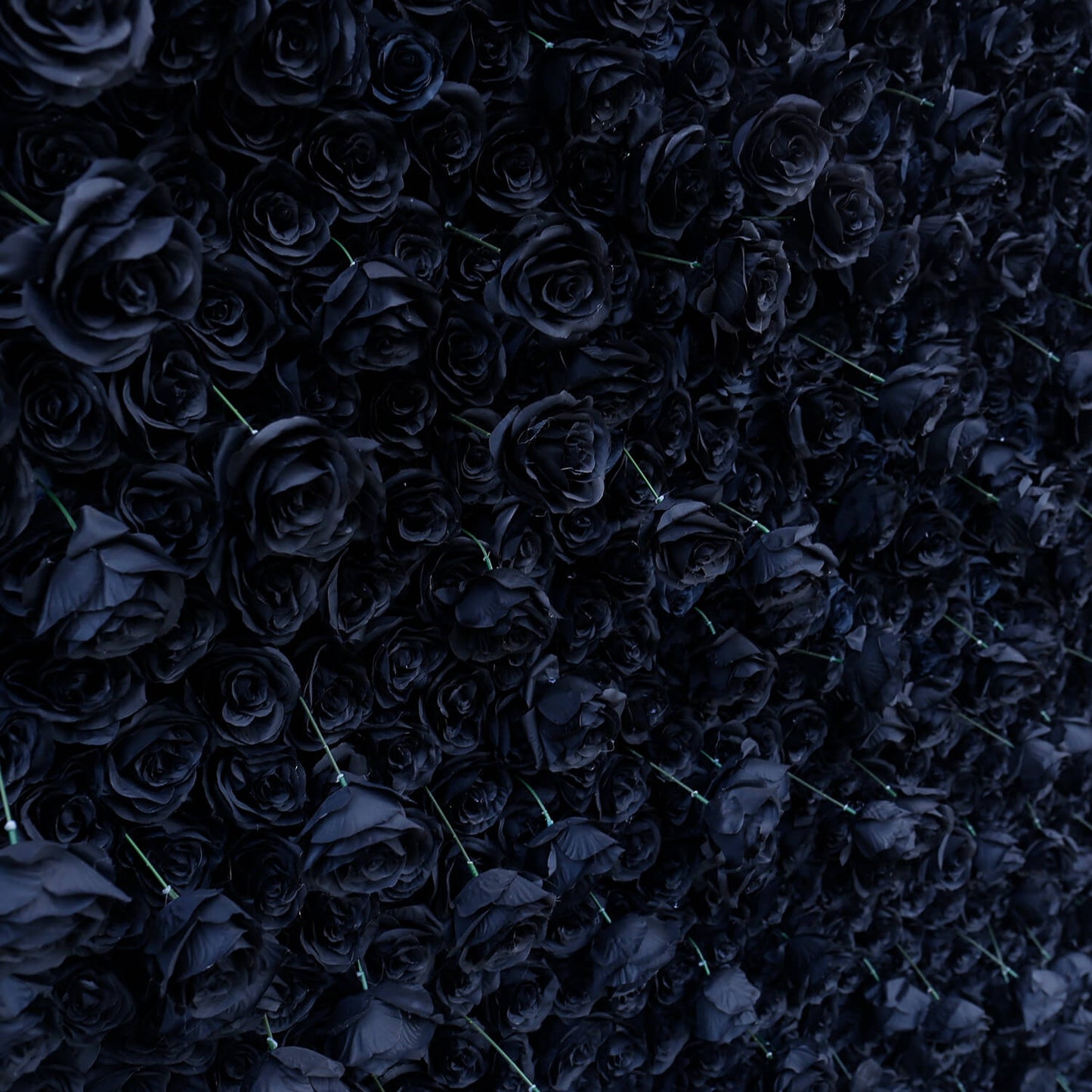 Black Rose Flower Wall Backdrop for Birthday Party Decorations-ubackdrop