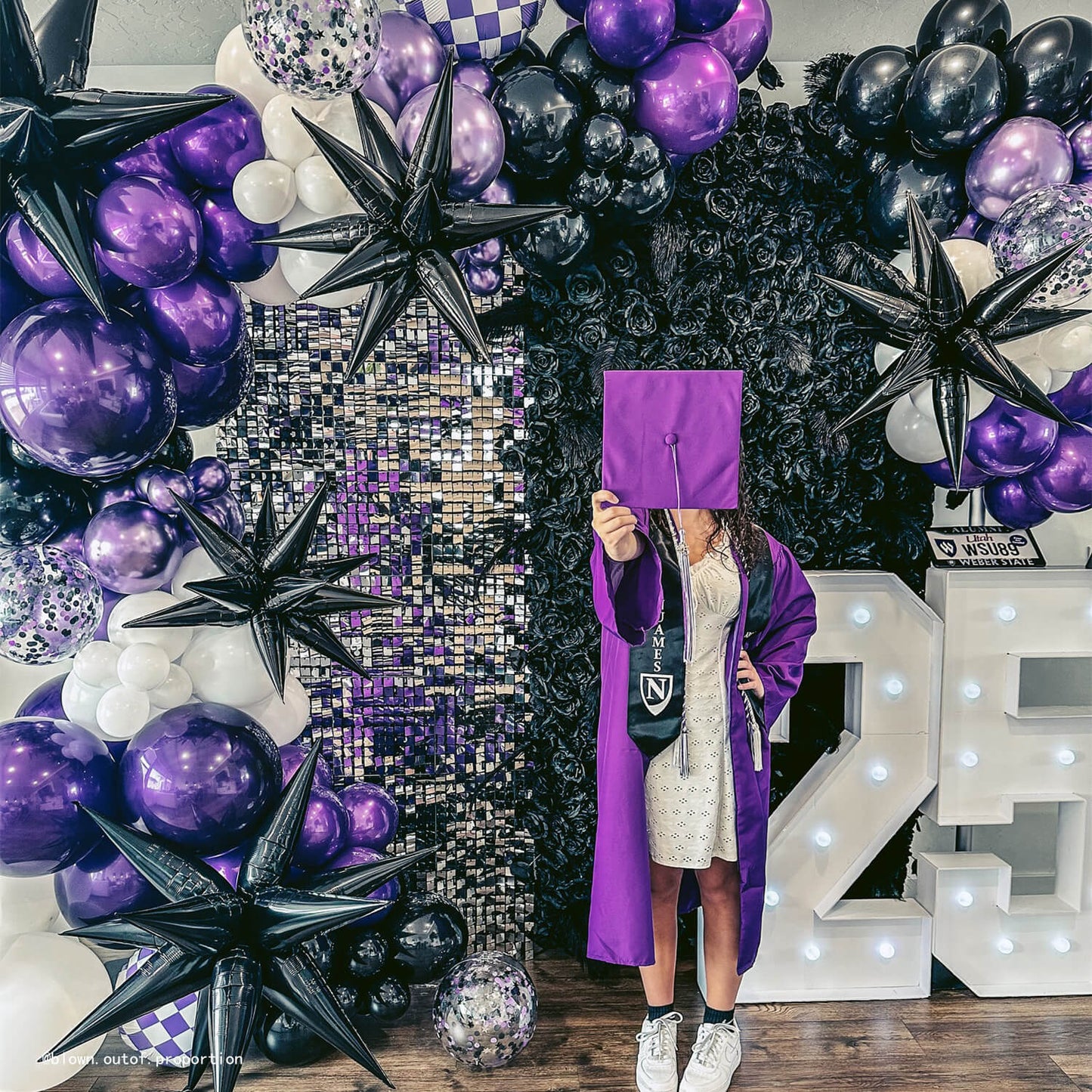 Black Rose Feather Flower Wall Backdrop for Birthday Party Decorations-ubackdrop