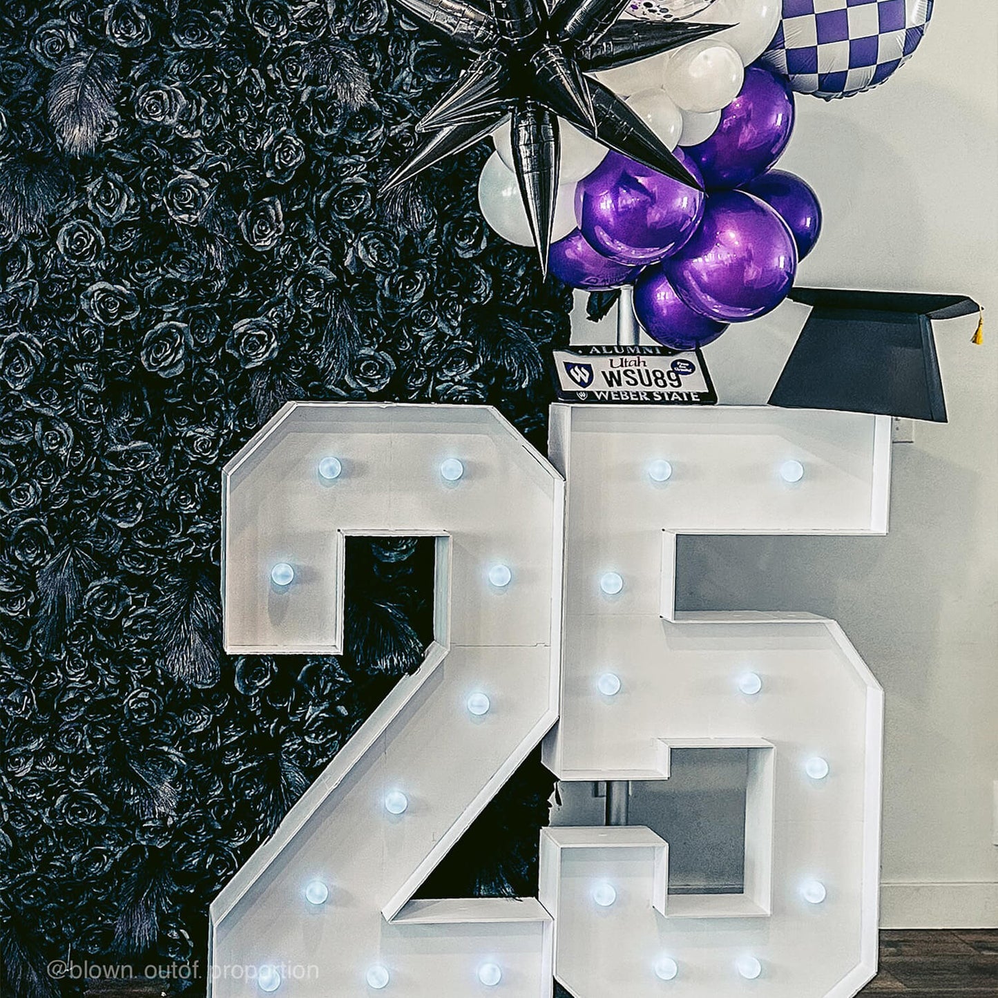 Black Rose Feather Flower Wall Backdrop for Birthday Party Decorations-ubackdrop