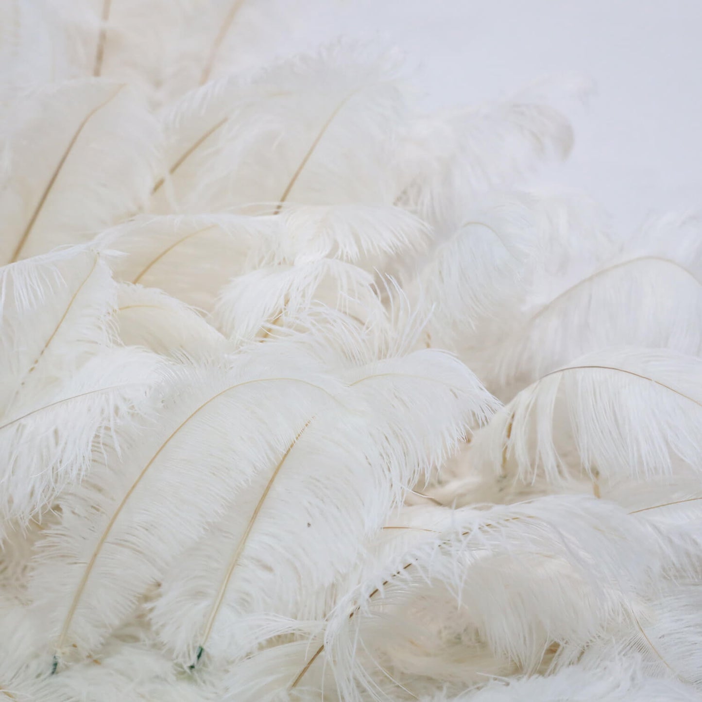 Boho White Feather Flower Wall for Wedding Arrangement Bridal Shower Party Backdrop-ubackdrop