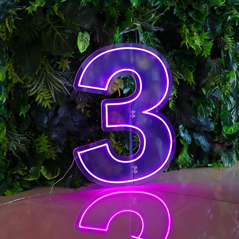 Custom 0 to 9 Number LED Neon Sign Wall Letters Light Party Decoration-ubackdrop