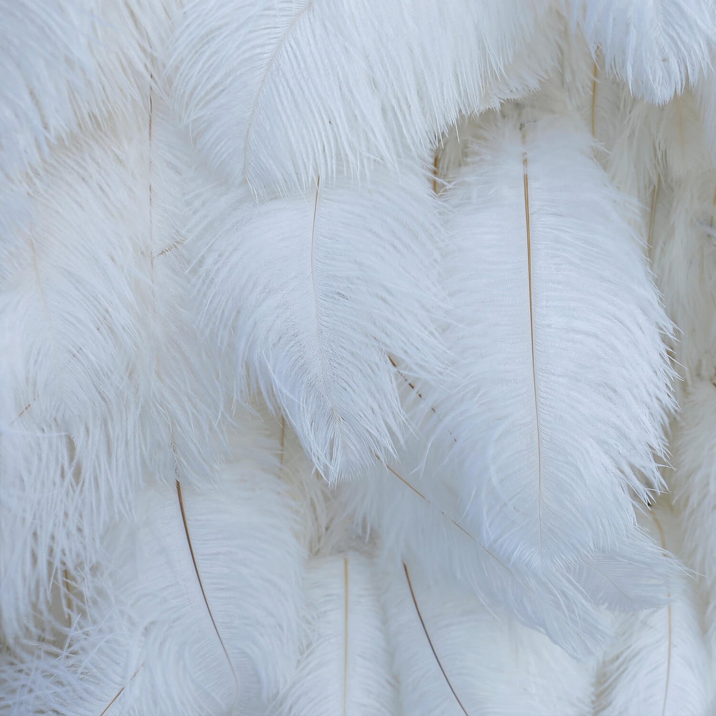 White Feather Flower Wall for Wedding Arrangement Bridal Shower Party Backdrop-ubackdrop