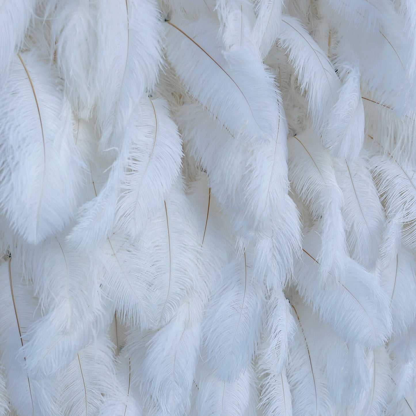 Boho White Feather Flower Wall for Wedding Arrangement Bridal Shower Party Backdrop-ubackdrop