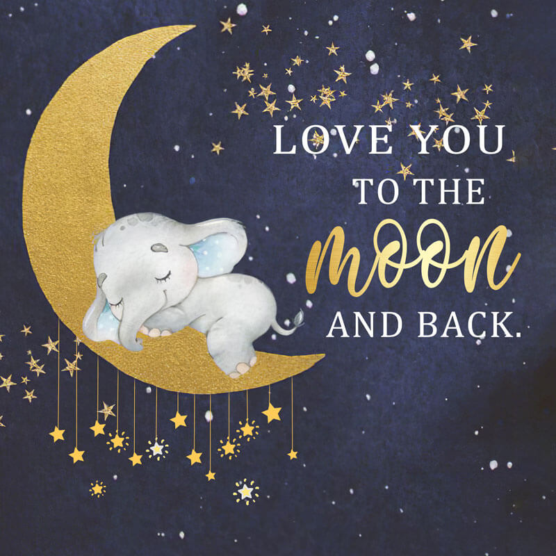 Blue Elephant Baby Shower Birthday Party Backdrop-ubackdrop