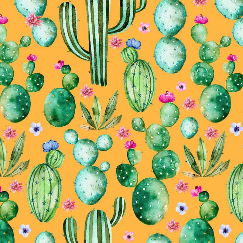 Custom Cactus Backdrop-ubackdrop