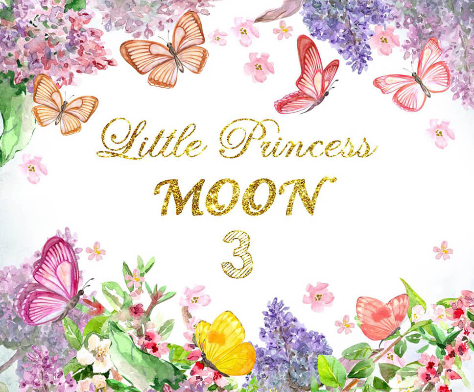 Floral Butterfly Backdrop Girl's Birthday Party Decoration - Designed, Printed & Shipped-ubackdrop