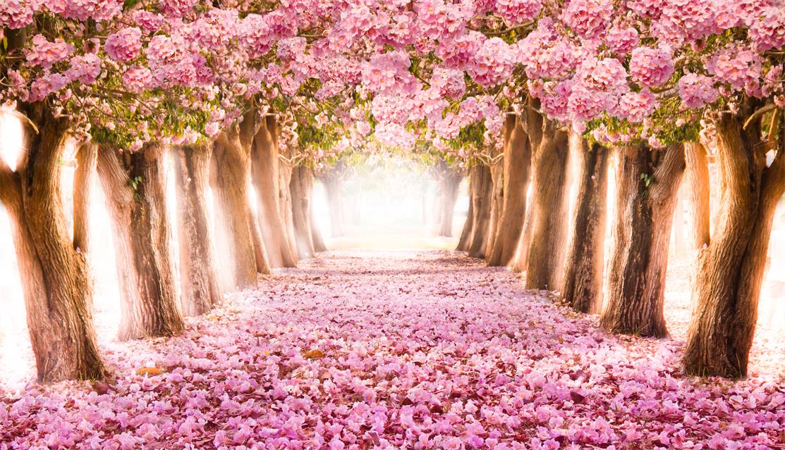 Floral Backdrop Wedding Flower Pink Autumn Backdrop-ubackdrop