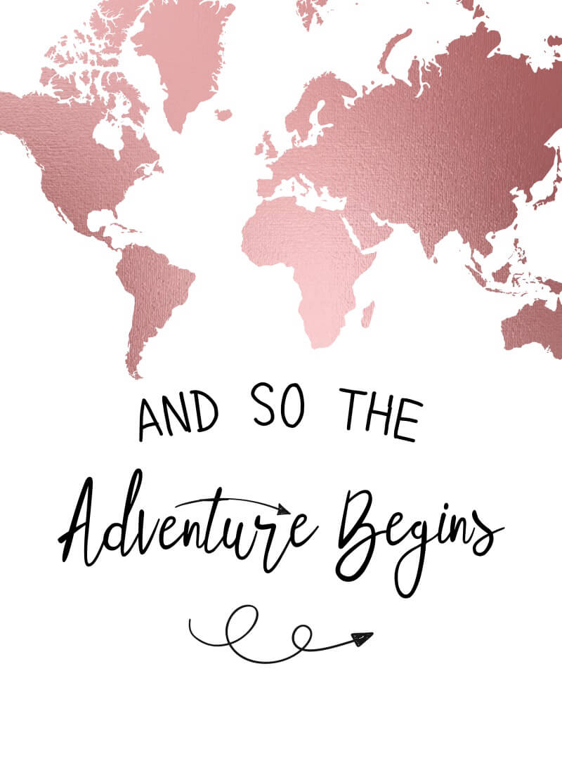 The Adventure Begins Wedding Bridal Shower Backdrop-ubackdrop