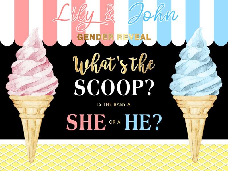 Custom Girl or Boy Gender Reveal Backdrop Blue or Pink Gender Reveal Photo Backdrop-ubackdrop