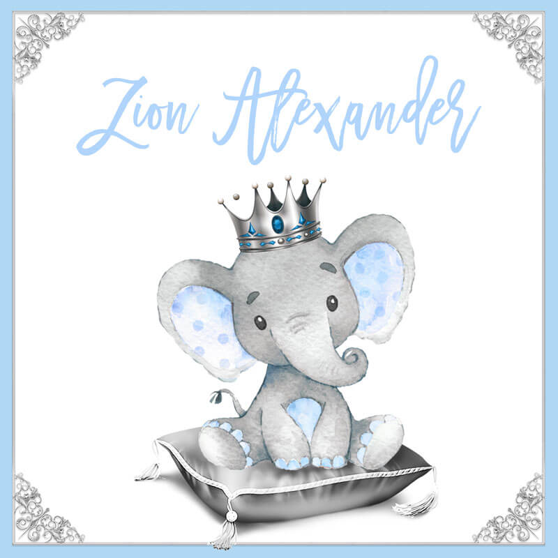 Boy Elephant Baby Shower Backdrop - Designed, Printed & Shipped-ubackdrop