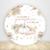A Sweet Little Pumpkin Is On The Way Baby Shower Party Backdrop