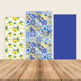 Amalfi Coast Arched Wall Party Backdrop Decorations Cover