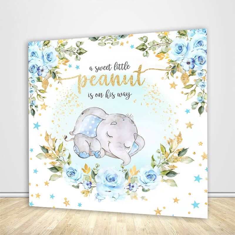 Little Peanut Baby Shower Boy Backdrop ubackdrop