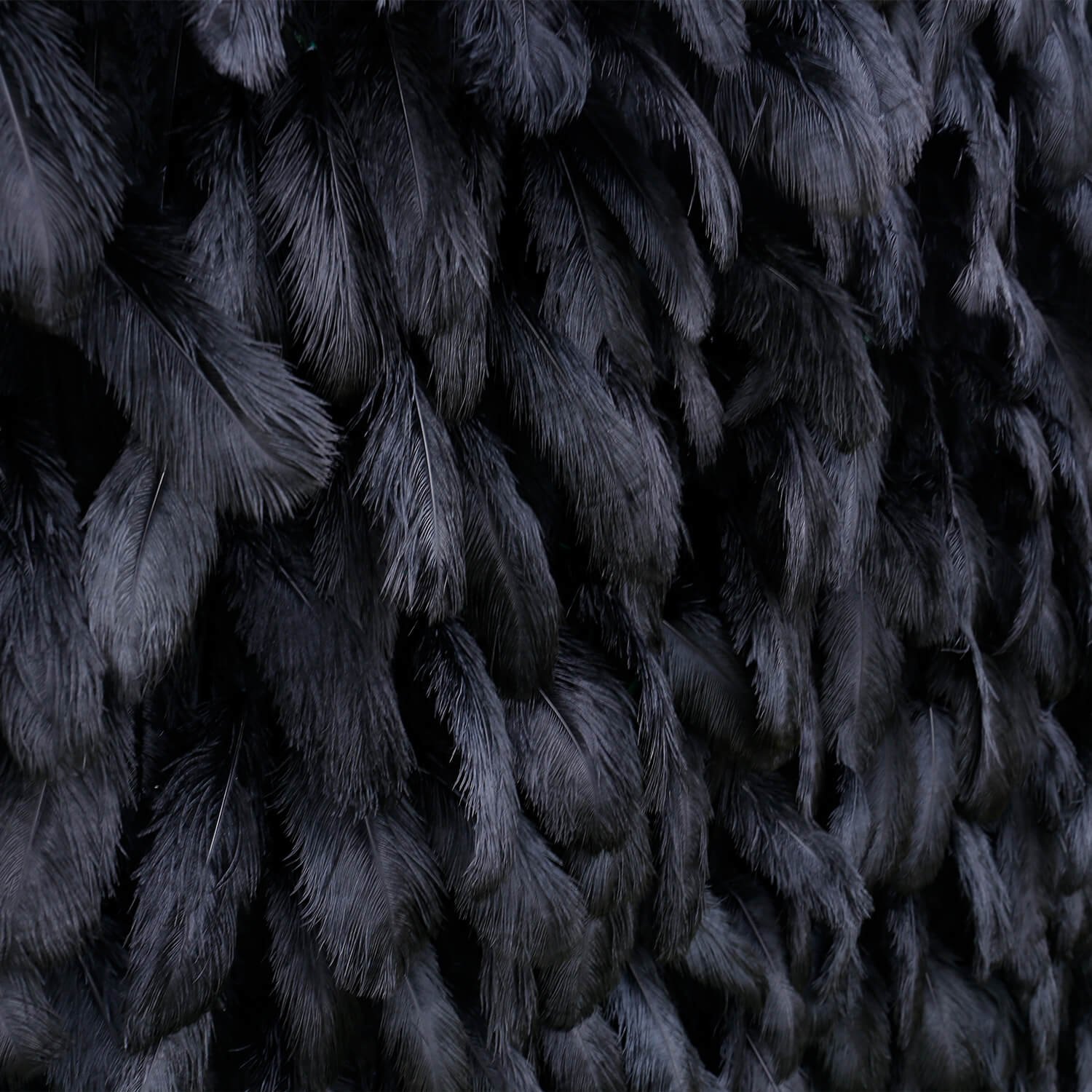 Black Feather Flower Wall for Wedding Arrangement Bridal Shower Party Backdrop-ubackdrop