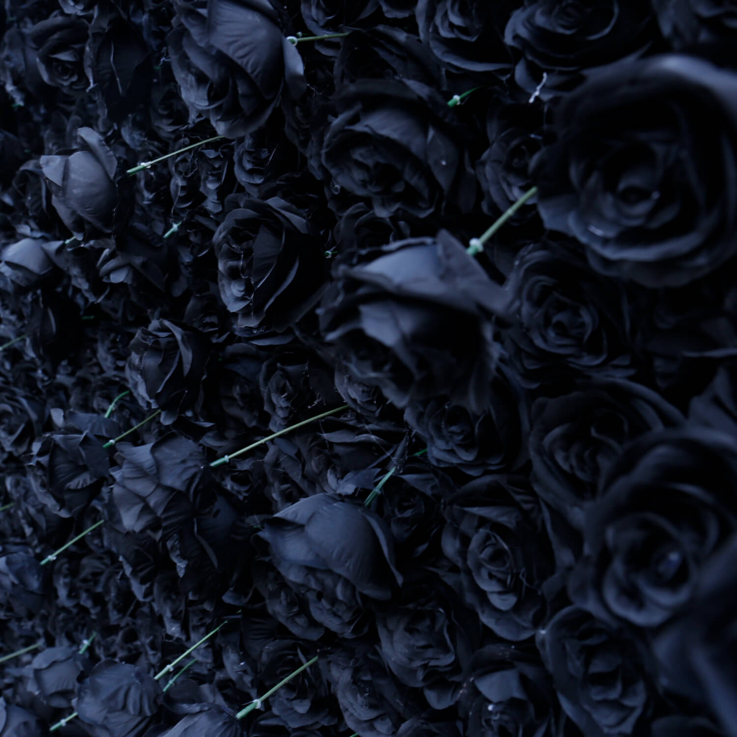 Black Rose Flower Wall Backdrop for Birthday Party Decorations-ubackdrop