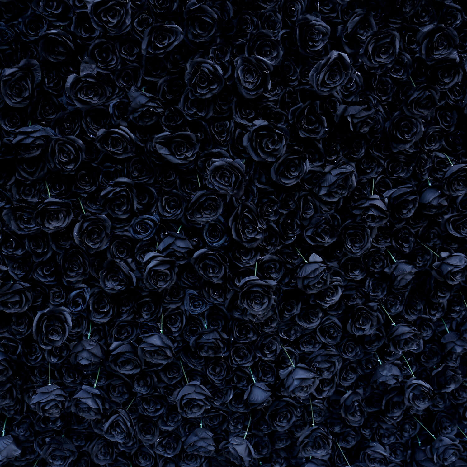 Black Rose Flower Wall Backdrop for Birthday Party Decorations-ubackdrop