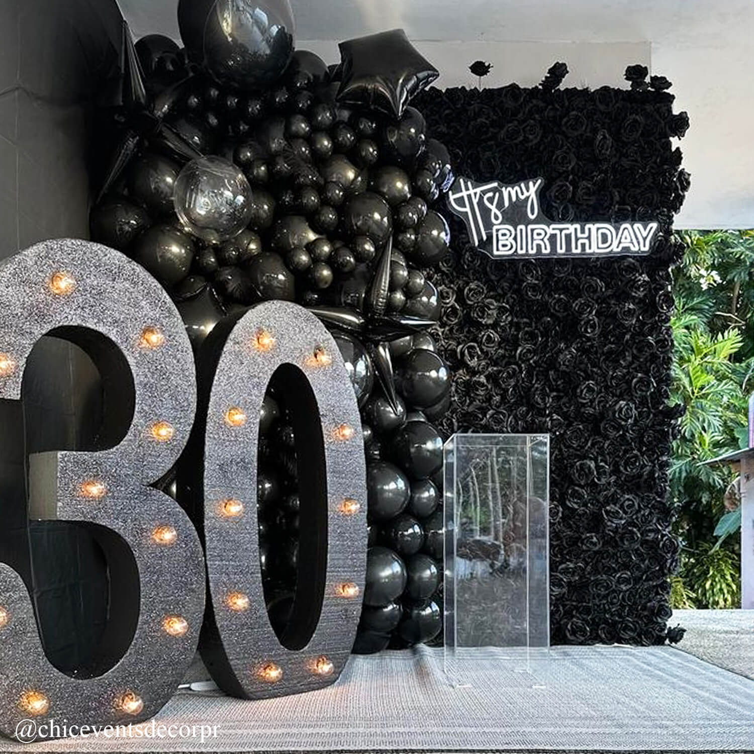 Black Rose Flower Wall Backdrop for Birthday Party Decorations-ubackdrop