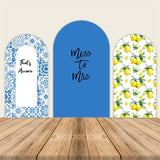 Bride Shower Party Arch Wall Backdrop Decoration