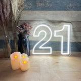 Digital LED Neon Light Up Letter 21 Birthday Decoration Lights Party