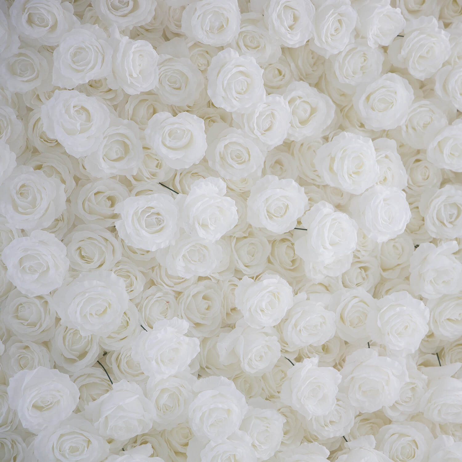 Full White Roses Fabric Artificial Flower Wall For Wedding Arrangement ...