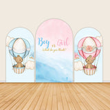 Gender Reveal Party Backdrop Blue Or Pink Bear Backdrop