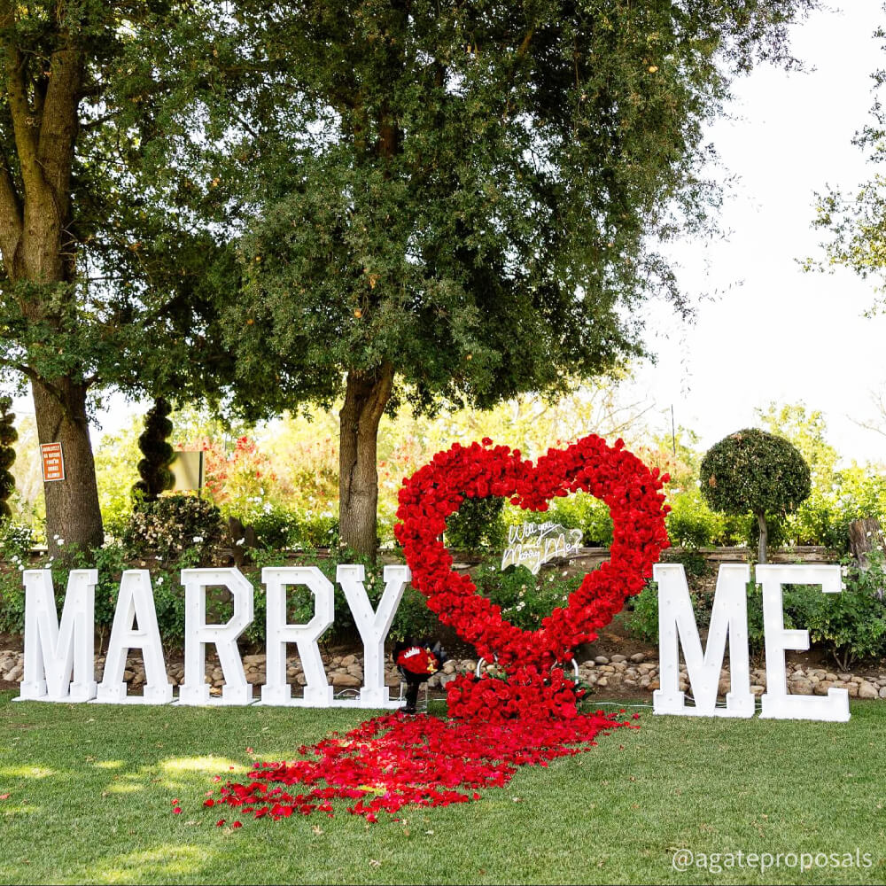 8ft Romantic Atmosphere Heart Shaped Red Rose Flower Wall Wedding Decoration Indoor-ubackdrop