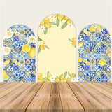 Morocco Mediterranean Blue Arch Backdrop Cover