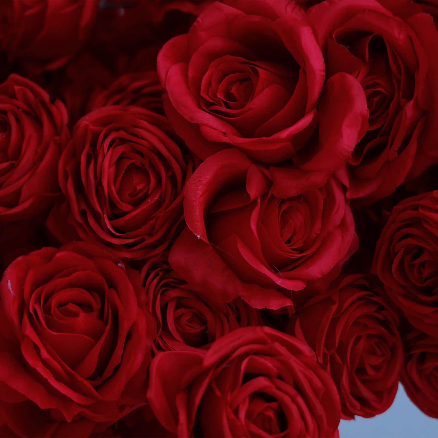 8ft White Rose Flower Wall Romantic Atmosphere Heart Shaped