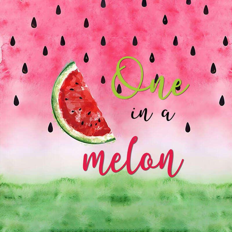 Watermelon Style One in a Melon Backdrop Kids Happy Birthday Party Decoration-ubackdrop