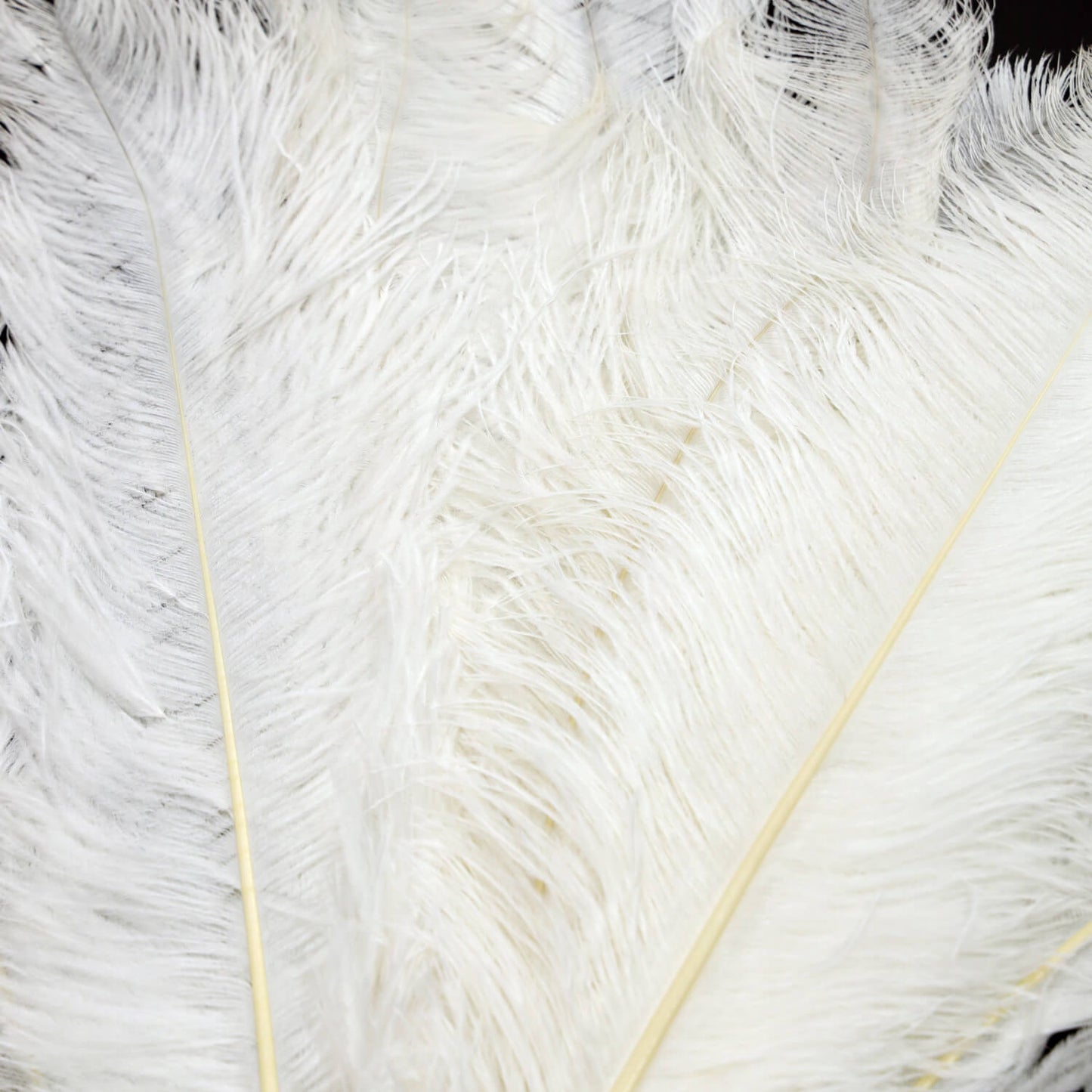 24"-26" White Natural Ostrich Feathers Centerpiece Filler