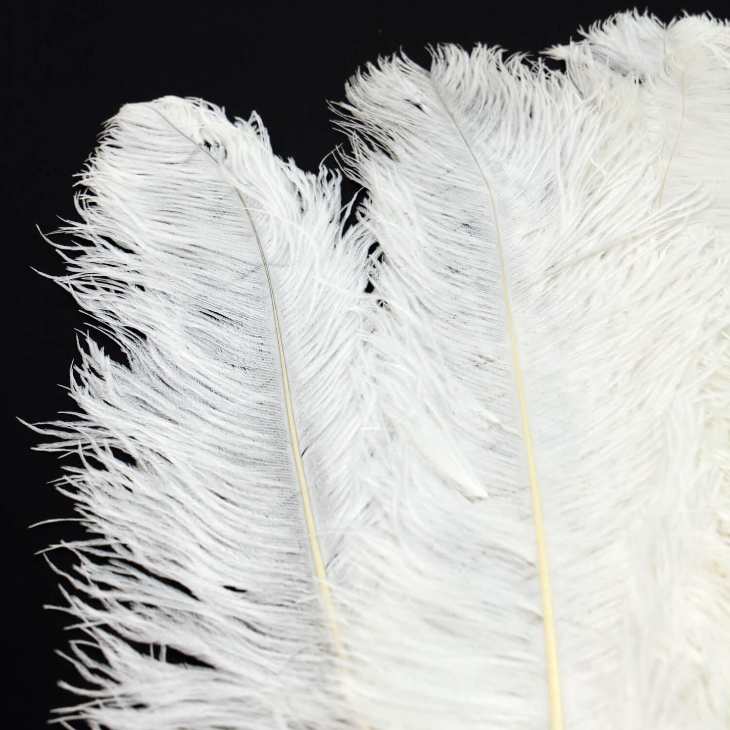 24"-26" White Natural Ostrich Feathers Centerpiece Filler