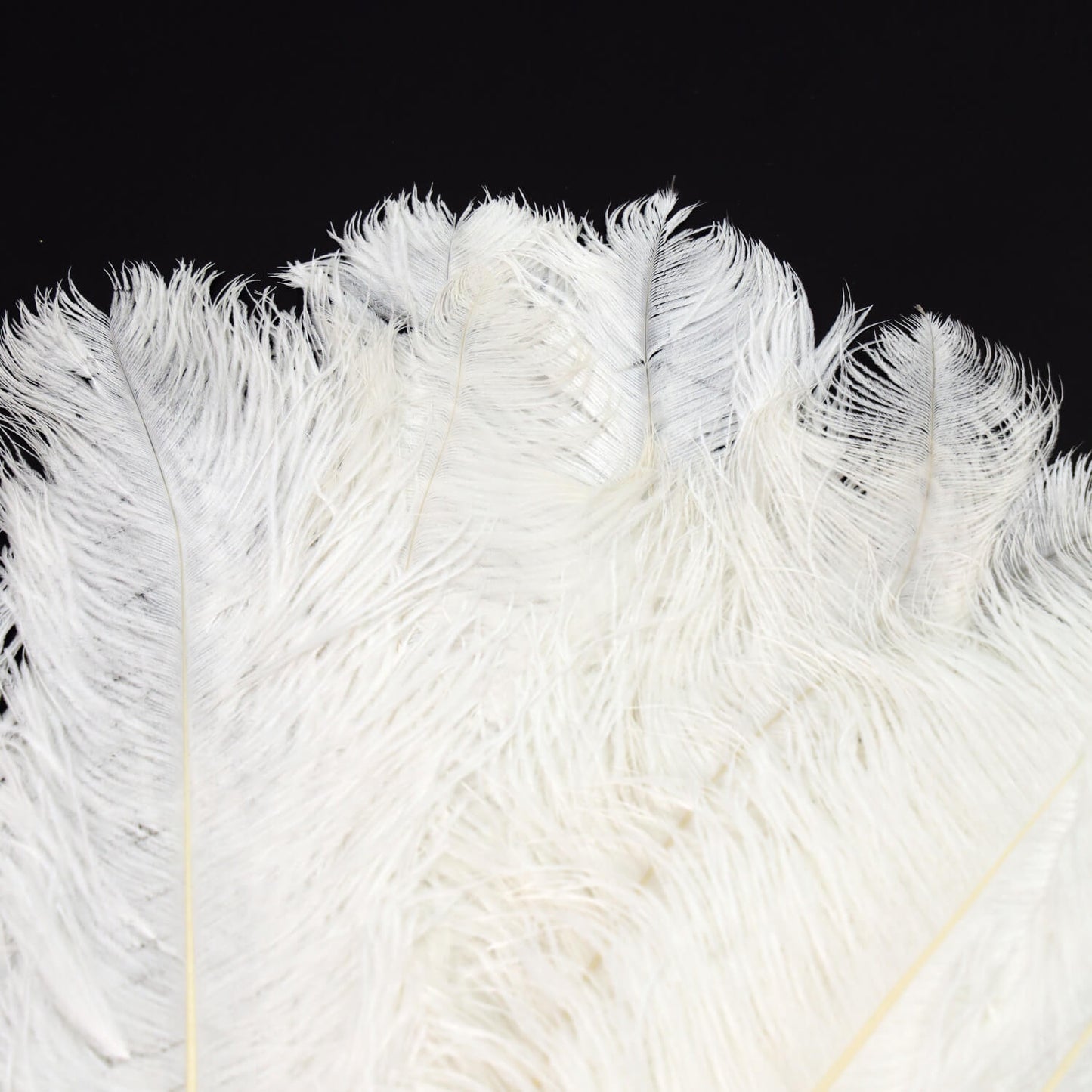 24"-26" White Natural Ostrich Feathers Centerpiece Filler
