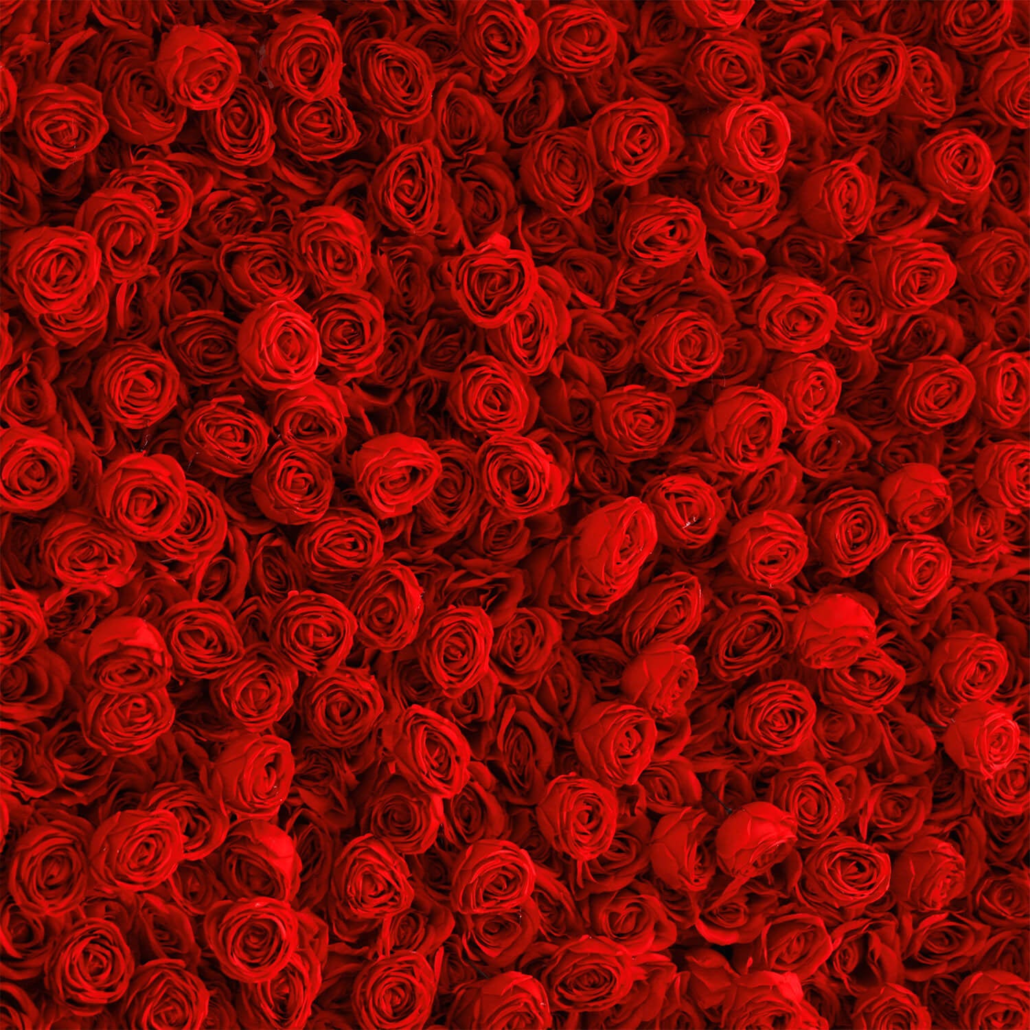 White and Red Roses Fabric Artificial Flower Wall For Wedding Event-ubackdrop