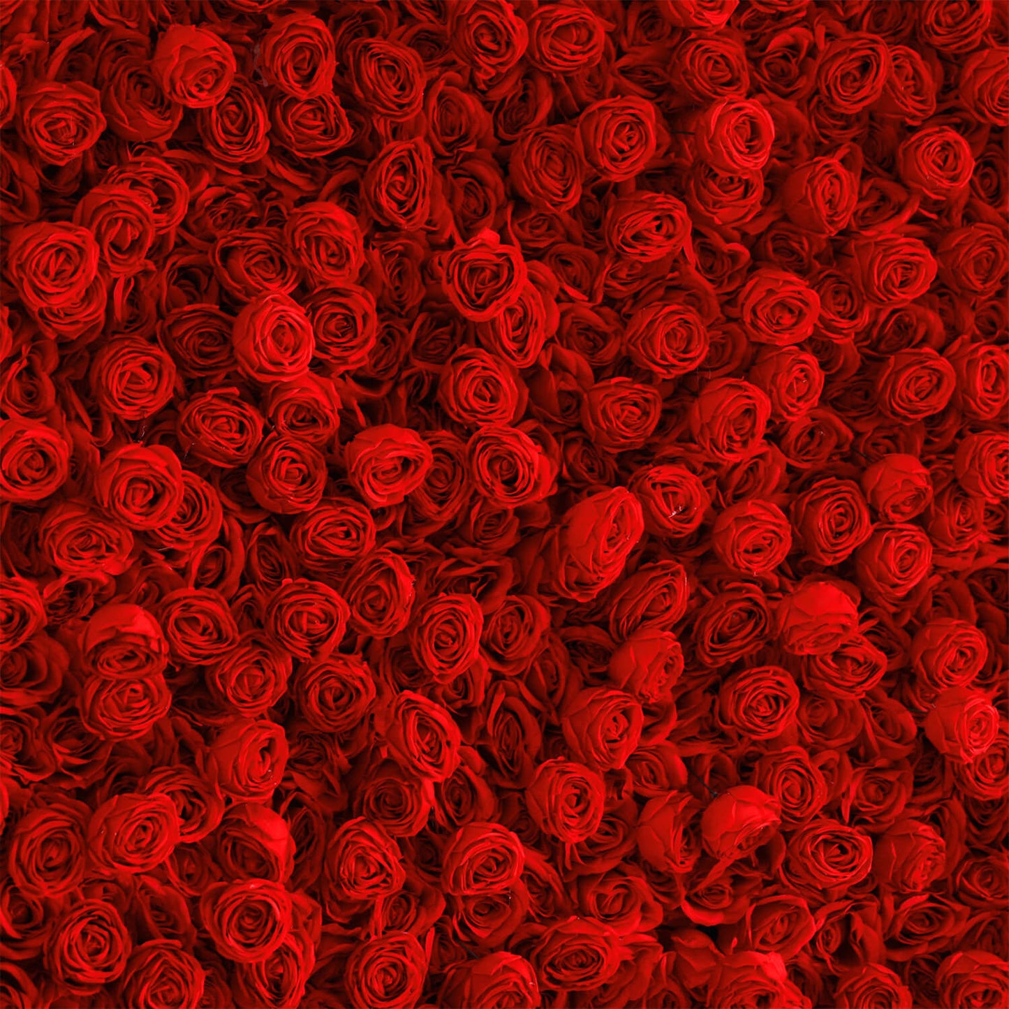 Full Red Roses Fabric Flower Wall For Wedding Arrangement Romantic Atm ...