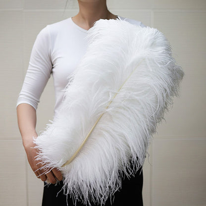 24"-26" Length White Natural Ostrich Feathers Centerpiece Filler-ubackdrop