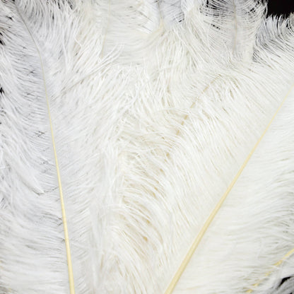 24"-26" Length White Natural Ostrich Feathers Centerpiece Filler-ubackdrop