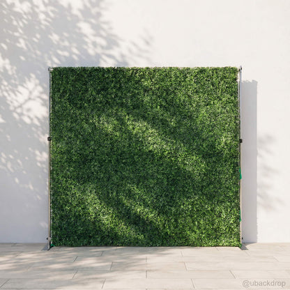 green-grass-boxwood-hedge-wall-backdrop-for-wedding-party-event