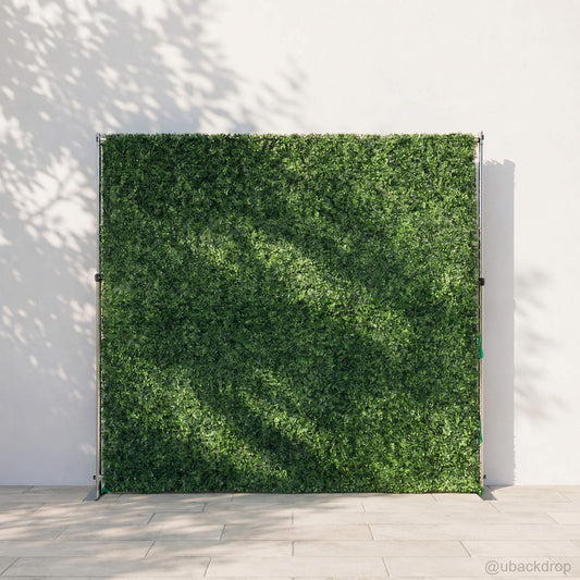 green-grass-boxwood-hedge-wall-backdrop-for-wedding-party-event