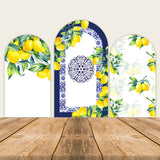 Positano Print Summer Fresh Lemon Baby Shower Party Backdrop