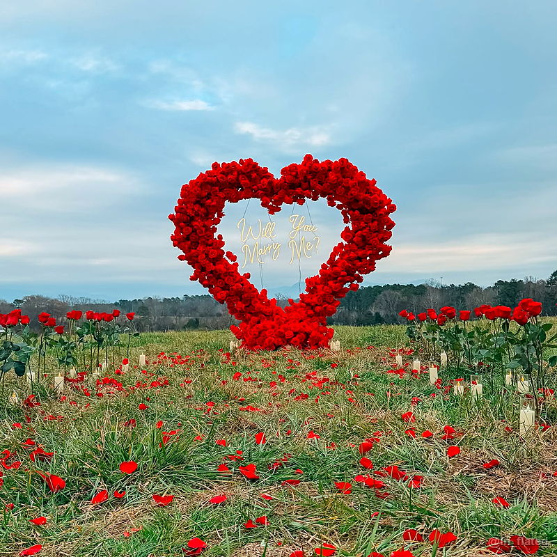 Red heart flower field romantic proposal party photo backdrop