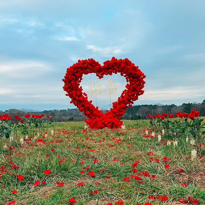 Red heart flower field romantic proposal party photo backdrop