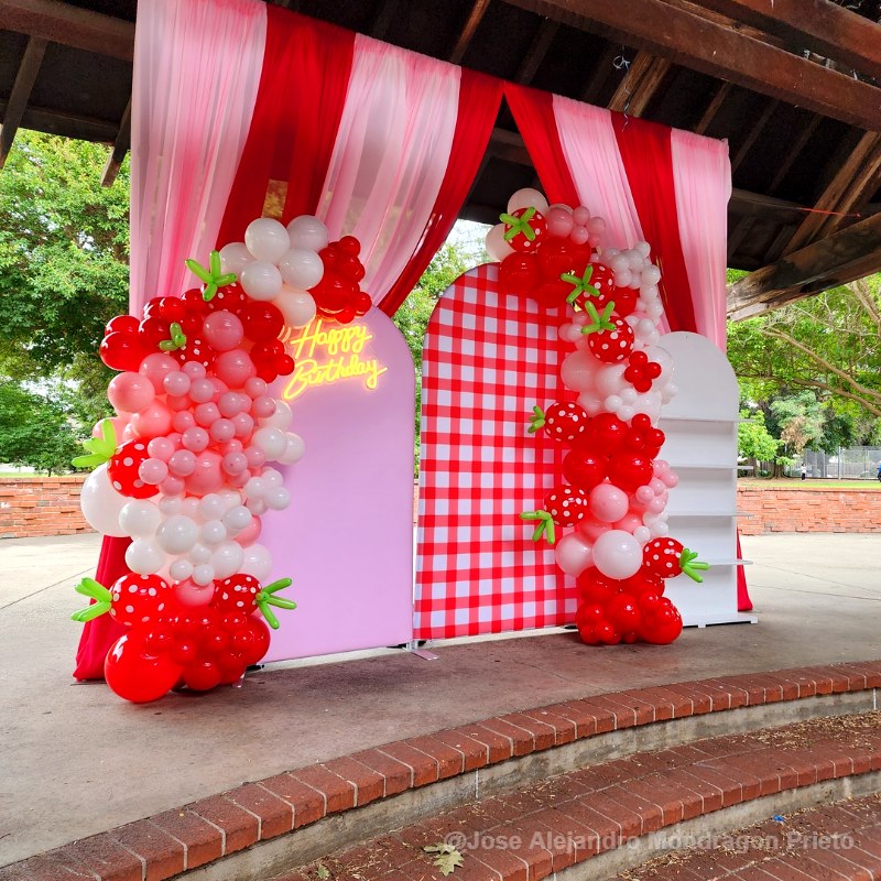 Chiara Backdrop Wall Set, Arched Wall Set Birthday&Baby Shower&Wedding Party Decoration-ubackdrop