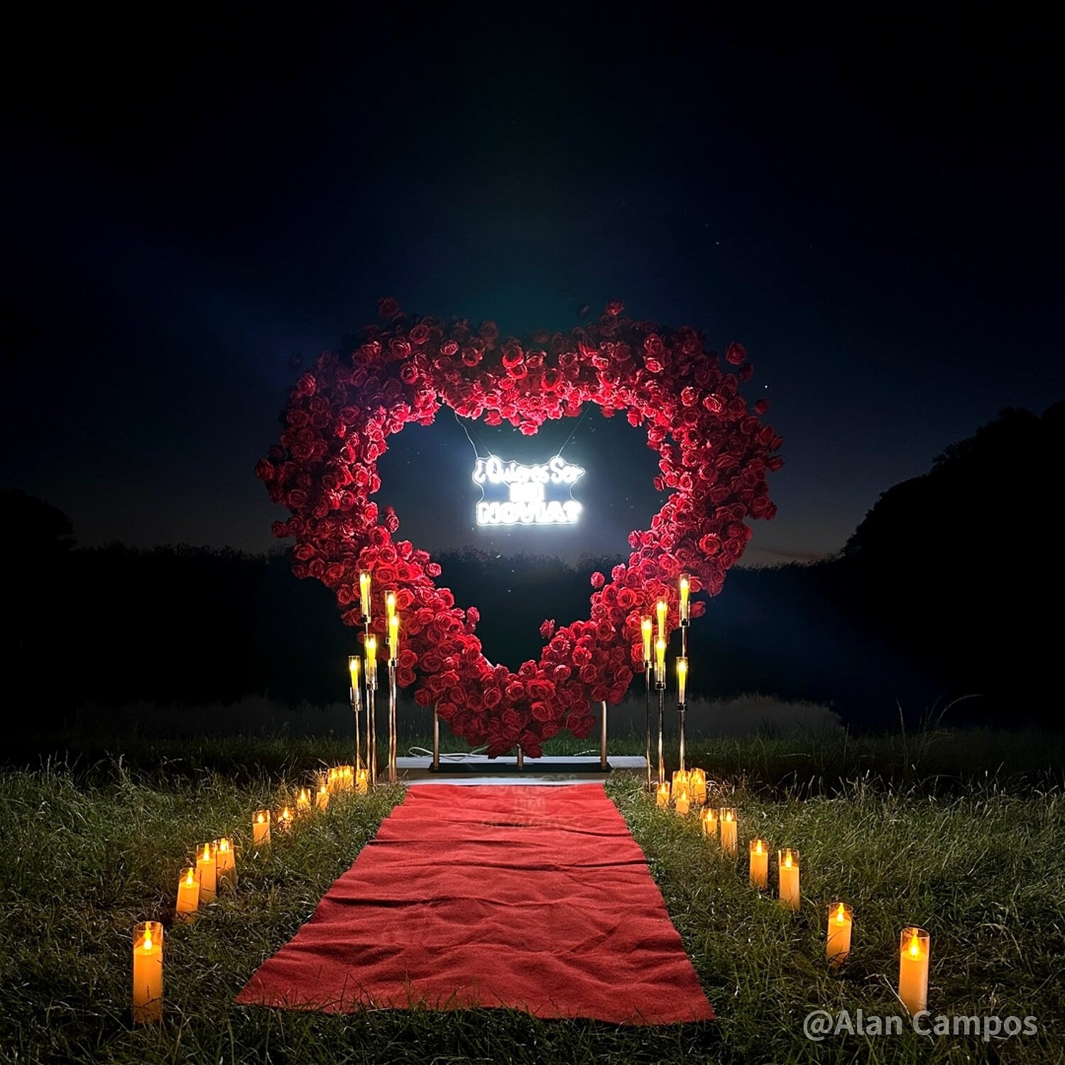 8ft Romantic Atmosphere Heart Shaped Red Rose Flower Wall Wedding Decoration Indoor-ubackdrop